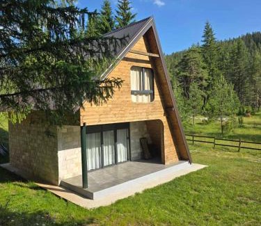 Zabljak Villa | Zminica Lake House