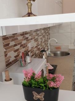Vrsac Apartment | ZOE apartment