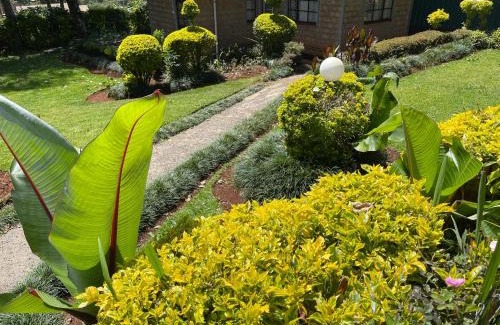 Kericho House | Zoe Homes 1br and 2br Cottage own compound -Kericho town near Green Square mall
