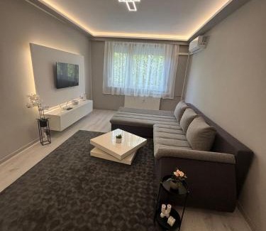 Pusztavacs Apartment | Zora Apartman