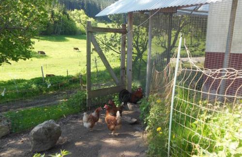 Sankt Georgen im Schwarzwald House | Zuckerbauernhof-Ferien in der Natur