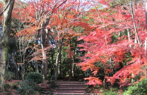 Mishima Villa | 最高級貸切 静岡県三島市 15億円の豪華ヴィラ『心月庵』