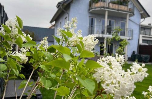 Weißenthurm Apartment | Zum schönen Ausblick
