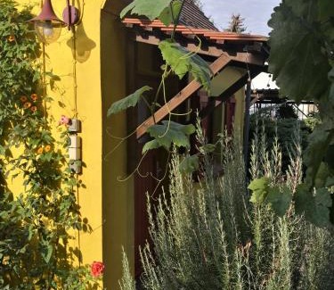 Kleinliebenau Apartment | Zum Waldmeister - WC außerhalb