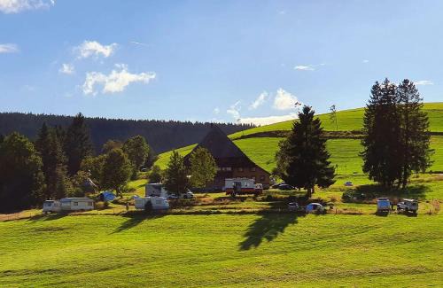 Furtwangen Apartment | Zum Wilden Michel