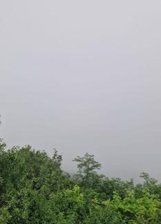 Sighnaghi House | Zurabashvili Guest House