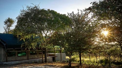 Tsumeb Other | ZuriCamp - Tent Madini
