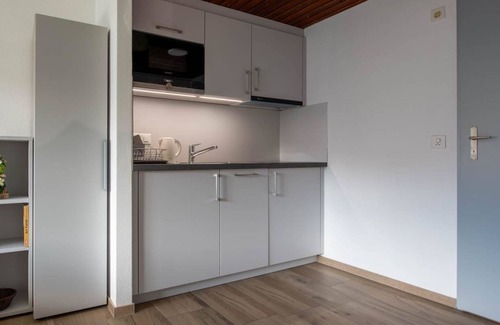 Riederalp Apartment | Zurschmitten 11 2. UG Süd by Interhome