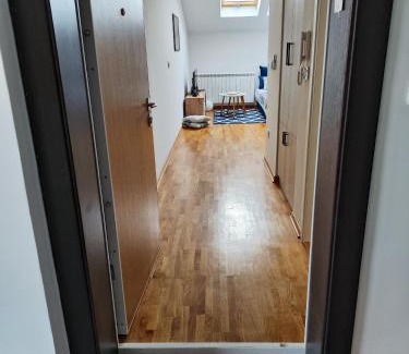 Zvezdara Apartment | Zvezdara blue star