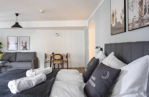 Zwickau Apartment | Zwickau Hauptmarkt | Suite XL + Sofa Bed (LT)