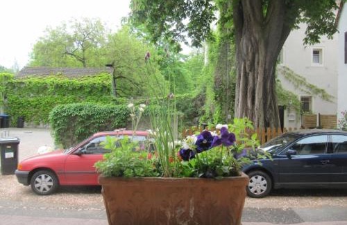 Speyer Apartment | Zwischen-Rhein-und-Reben, zentral, barrierefrei