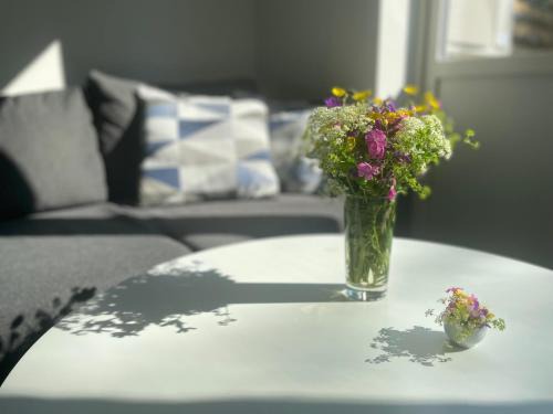 Åreskutans lägenhet med laddning för bil 22kW