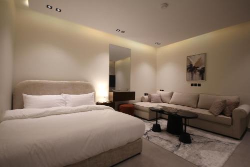 استيديو فاخر بدخول ذاتي c22