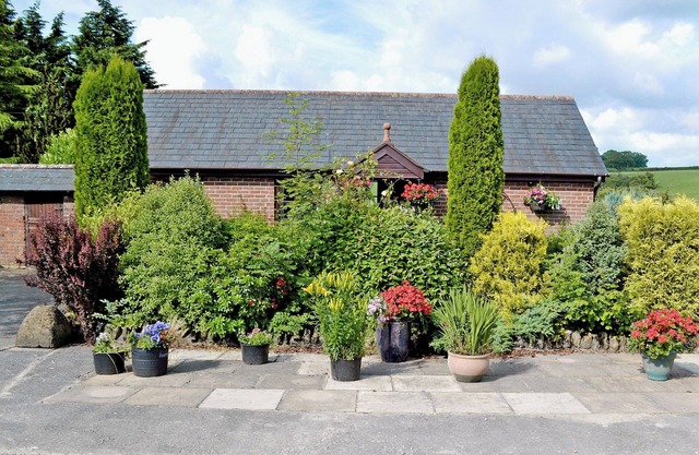 1 bedroom accommodation in Evershot