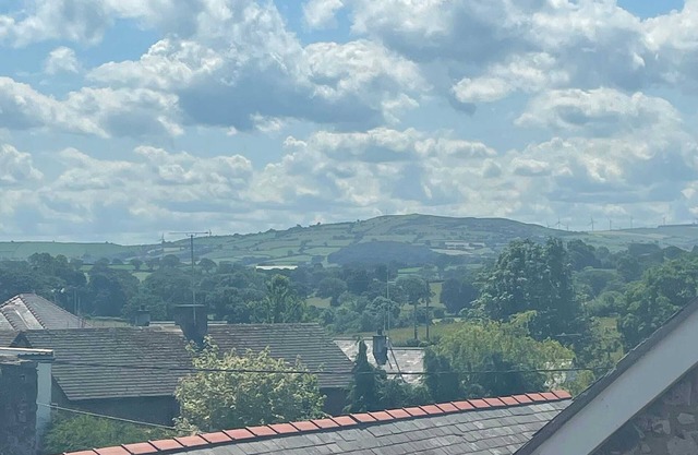 1 bedroom accommodation in Henllan