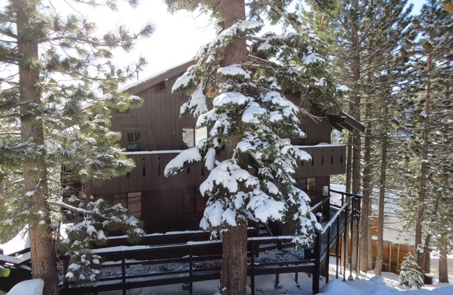 #1 CHOICE: Tahoe Alpine Cabin, Heavenly Ski Lifts, Fireplace, shared Hot Tub