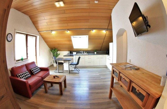 1-room apartment (top floor) no. 1 - BI apartments Mildenberger