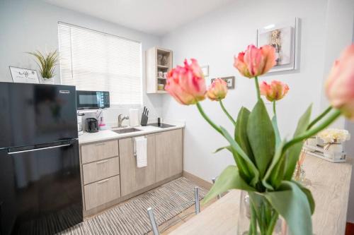 1 Santurce 1 Bedroom 1Bathroom Apt