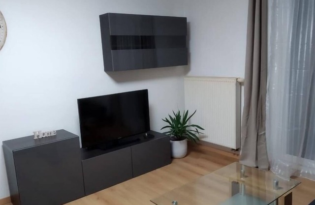 1-Zi. Apartment in Singen (near Lake Constance)