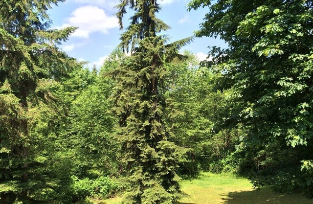 14 Acres Of Private Forest - Large 1400 Sq Ft Apt - Mins. From Amenities & Hwy