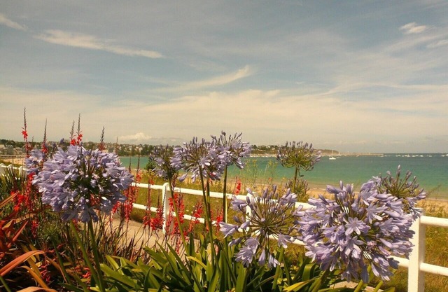 170m², quiet, renovated in 2009 - St Cast beach 20mn away - INTERNET /AIR CONDITIONING