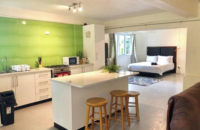 *2 Bedroom Apartment with Pool - Williamson House