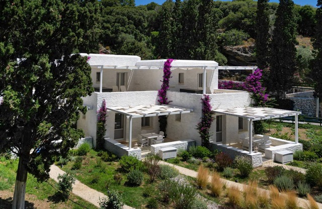 2 Bedroom Sea View Houses in Andros | Votsalo Beach House