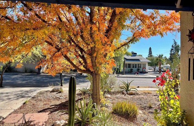 ⁜ ⁜ 2 Blocks to UA! Historic House With Hot Tub ⁜ ⁜