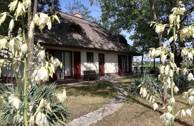 2 houses (up to 9 people) in the heart of nature, with private pool