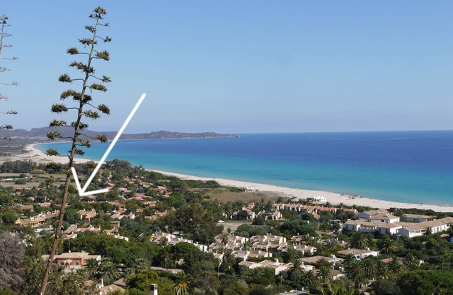 200 meters from the sea, sleeps 4. BBQ, outdoor shower. Discounted ship prices