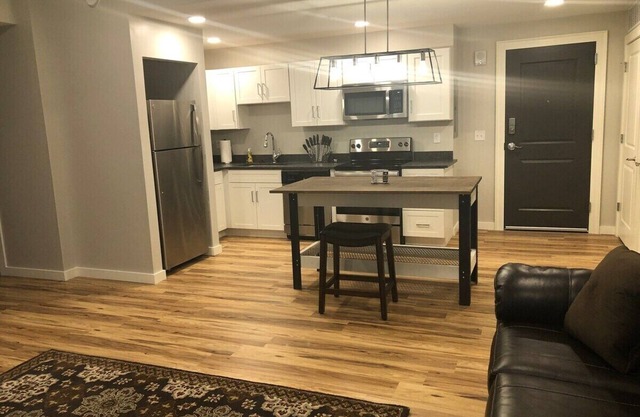 203 New downtown living Queen Wi-Fi 1 bedroom