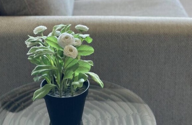 2105 Olympic park · Best location apartment in Olympic park