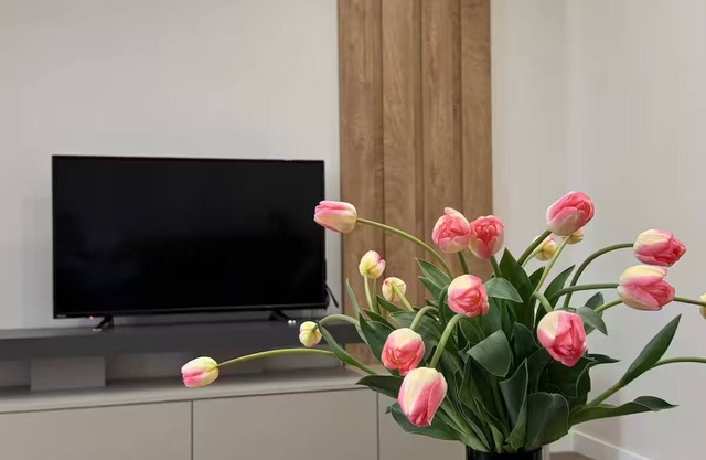 2BD Apartment on Komitas Av.
