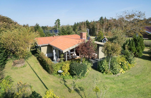3 bedroom stunning home in Skjern