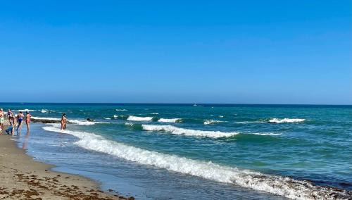 3New 2 bed 2 bath Apartment with Community pool and local beach