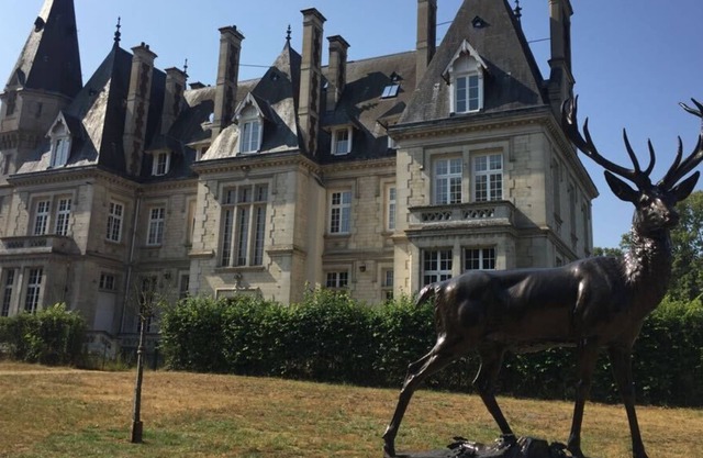 400m2 castle flat, 8 bedrooms + pool near Paris!