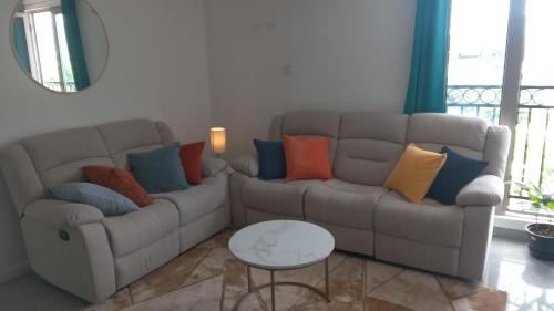 4K-Suite