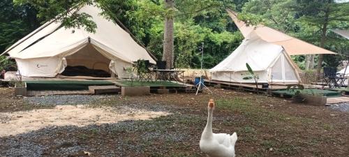 5 meter belle tent for 5 people