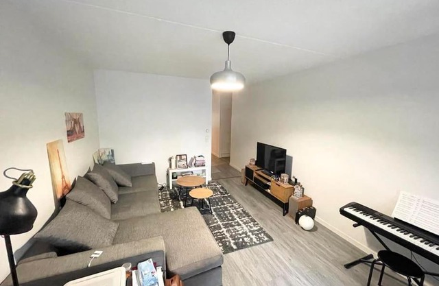 54sqm one-bedroom apartment