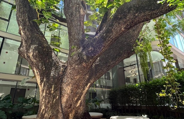 6* Luxury @ The Heart of Bangkok in the Most Exclusive Zone in Bangkok
