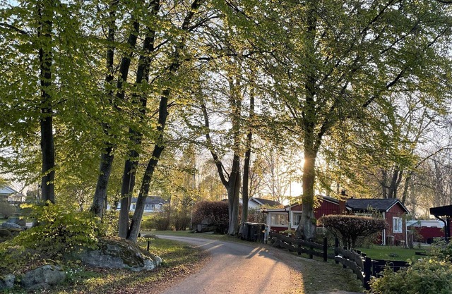 6 person holiday home in SÖLVESBORG