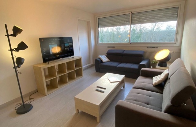 A 10mn Centre Préparation JO Kayak, Appartement Idéal Pour Famille 4 Personnes