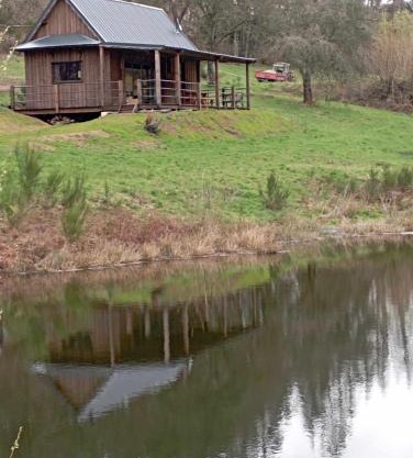 A la cabane des Bois dessus Tiny Gite