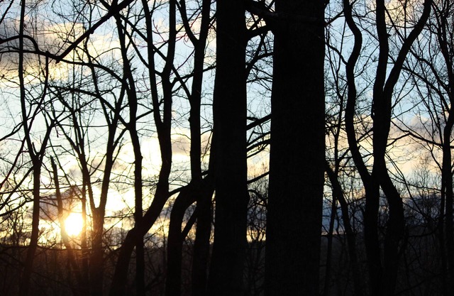 A little slice of heaven in gorgeous Lost River, West Virginia!