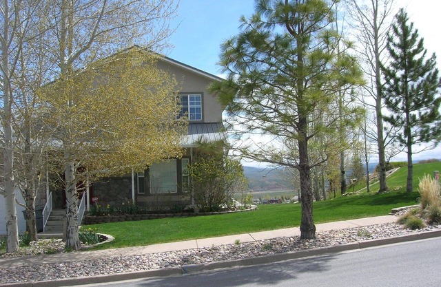 A Spacious Retreat On A Quiet Street