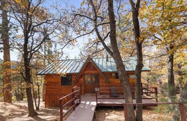 A Woodsy Mountain Retreat