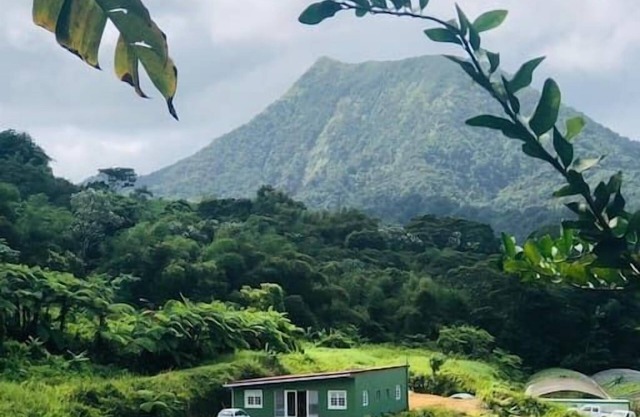 A ylang ylang room in the heart of nature