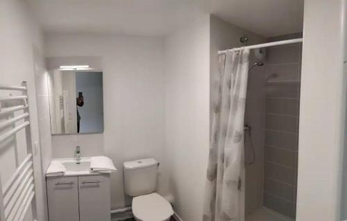 A4-16 Studio Cosy Toulouse