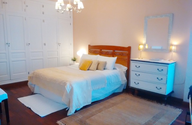 Acierto centro, large flat + terrace + parking + wifi + A/A