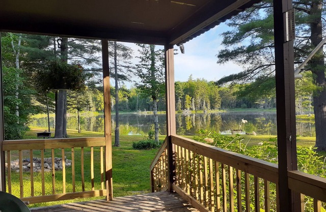 Adirondack mt. retreat Lake Winslow Homer. Kayaks, Cornhole boards included.